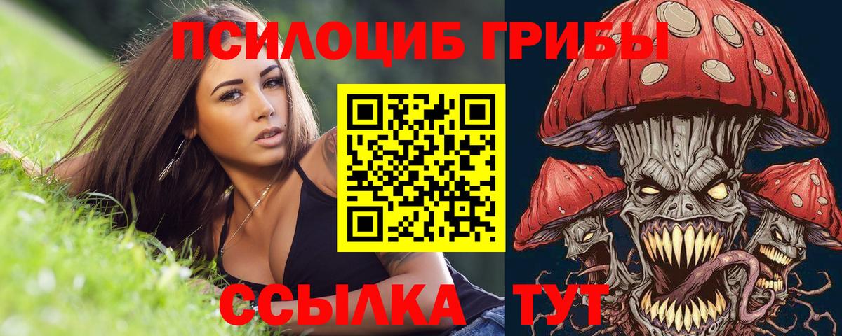 Елизово  Псилоцибиновые грибы ЛСД  Вход с VPN 